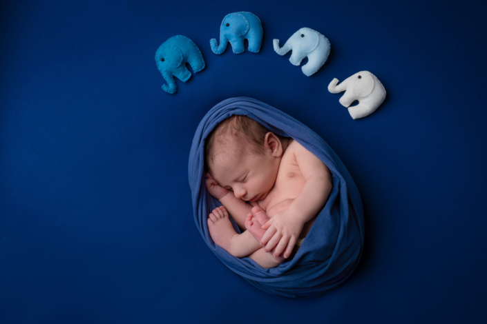 servizio fotografico neonati venezia _ bimbo raggomitolato con elefanti su sfondo blu